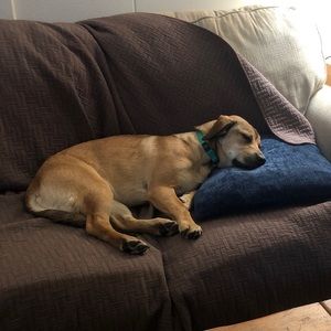 Meet your Posher, Dave